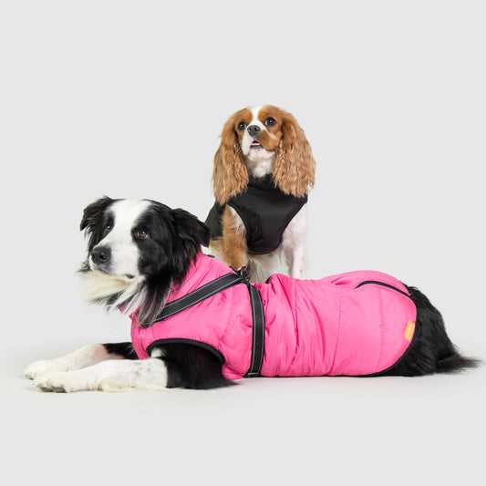 Seurico™ waterproof thick warm 3 in 1 pet jacket